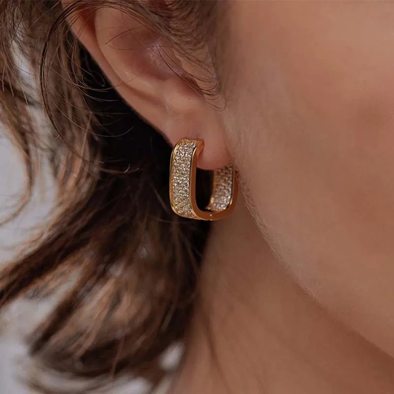 Luxury shiny earrings - BritShade