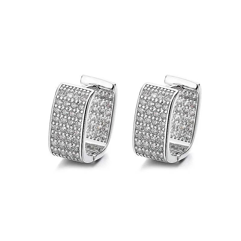 Luxury shiny earrings - BritShade